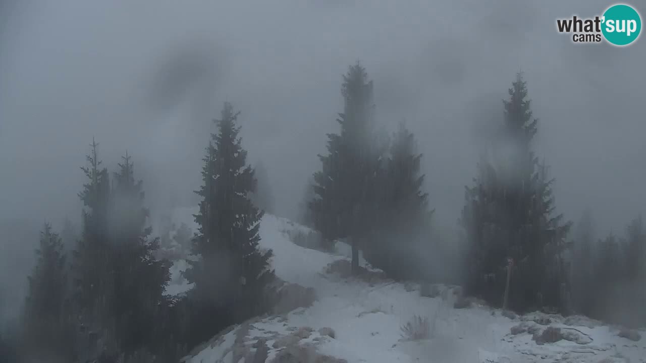 Webcam na Golici – Baita di montagna (1582 m) – Slovenia