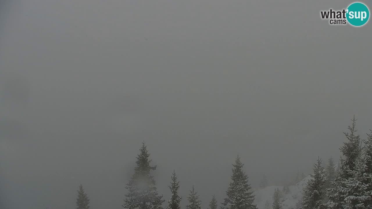 Webcam na Golici – Baita di montagna (1582 m) – Slovenia