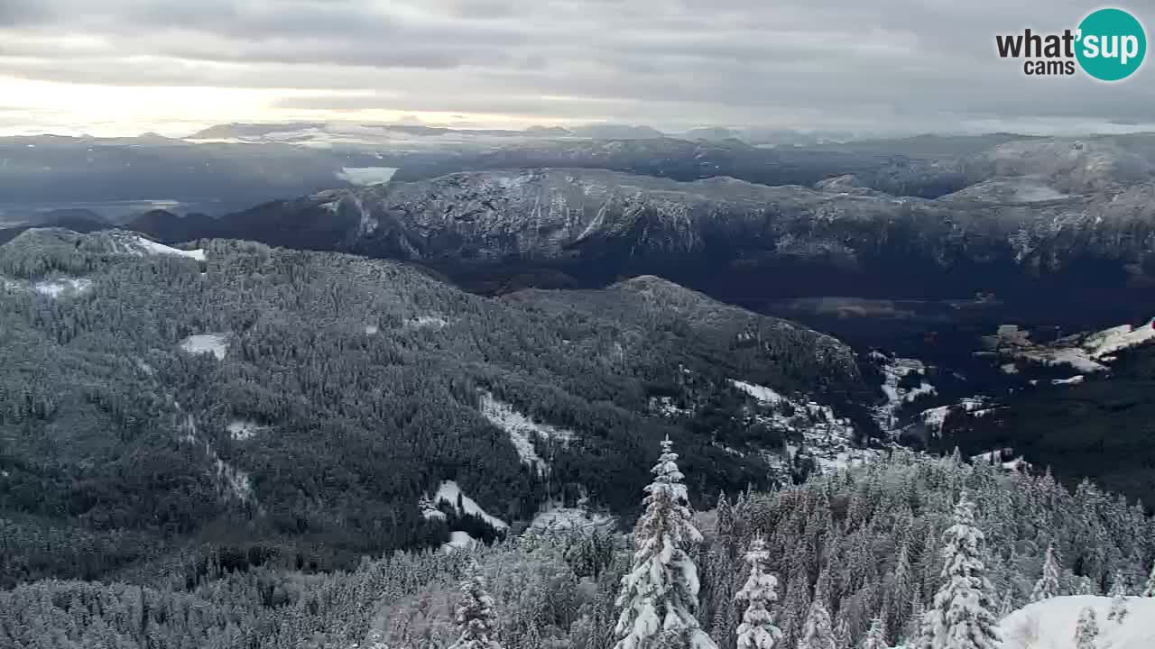 Koča na Golici Webcam (1582 m) – Slowenien