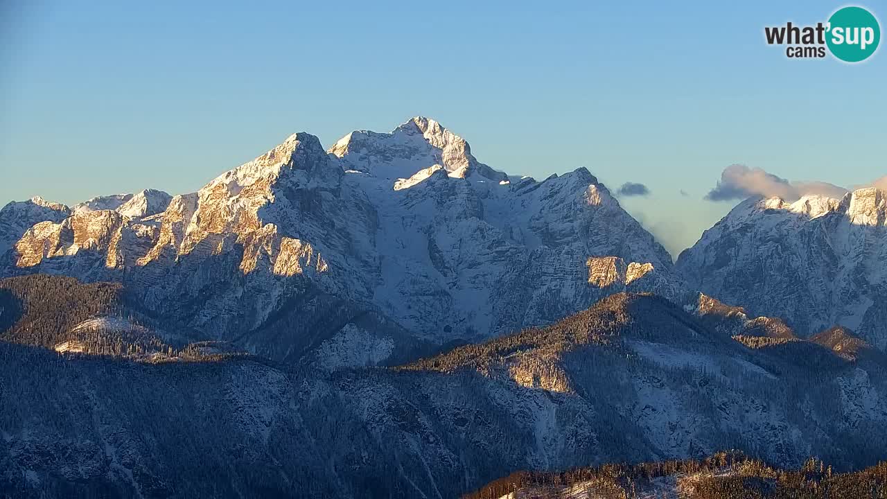 Webcam Koča na Golici (1582 m) – Slovenia