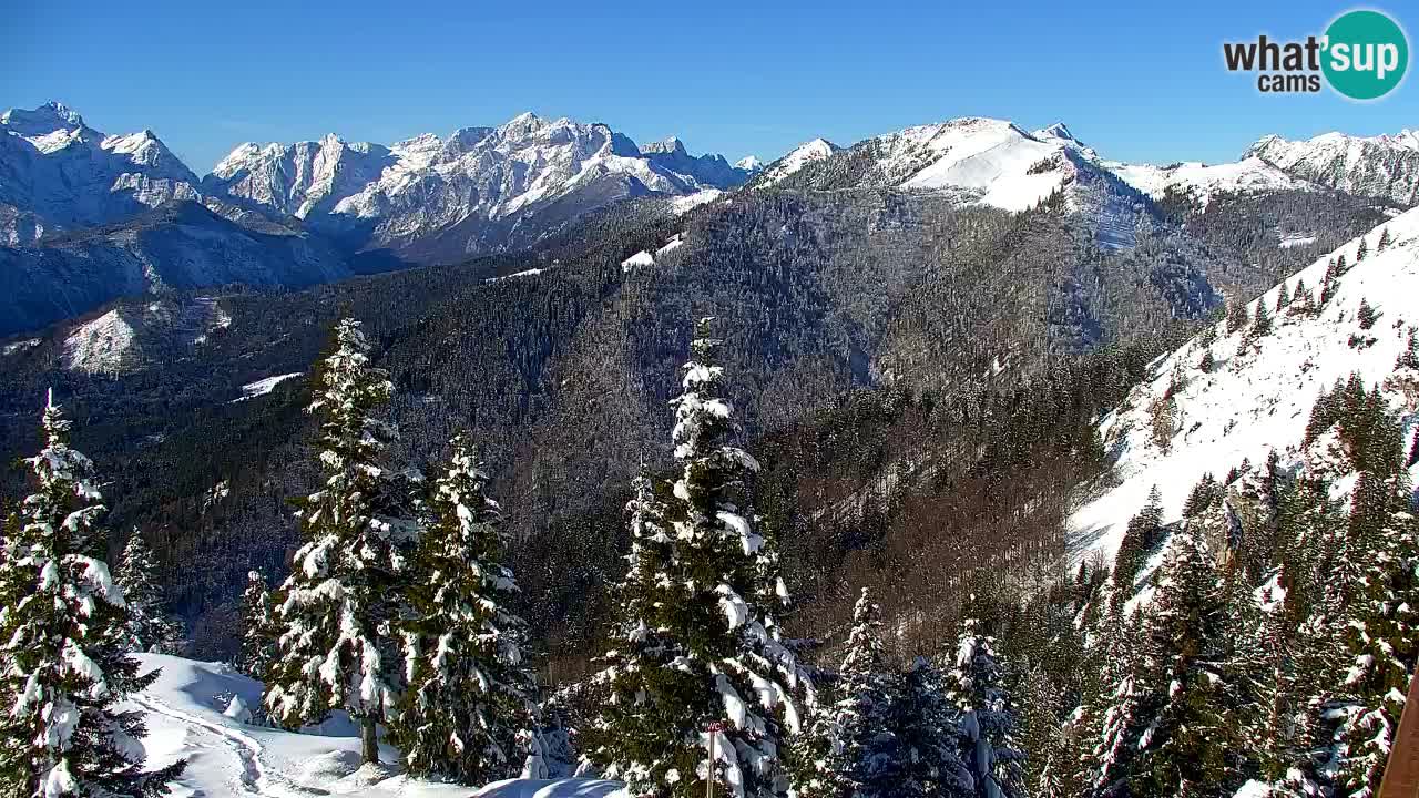 Webcam Koča na Golici (1582 m) – Slovenia
