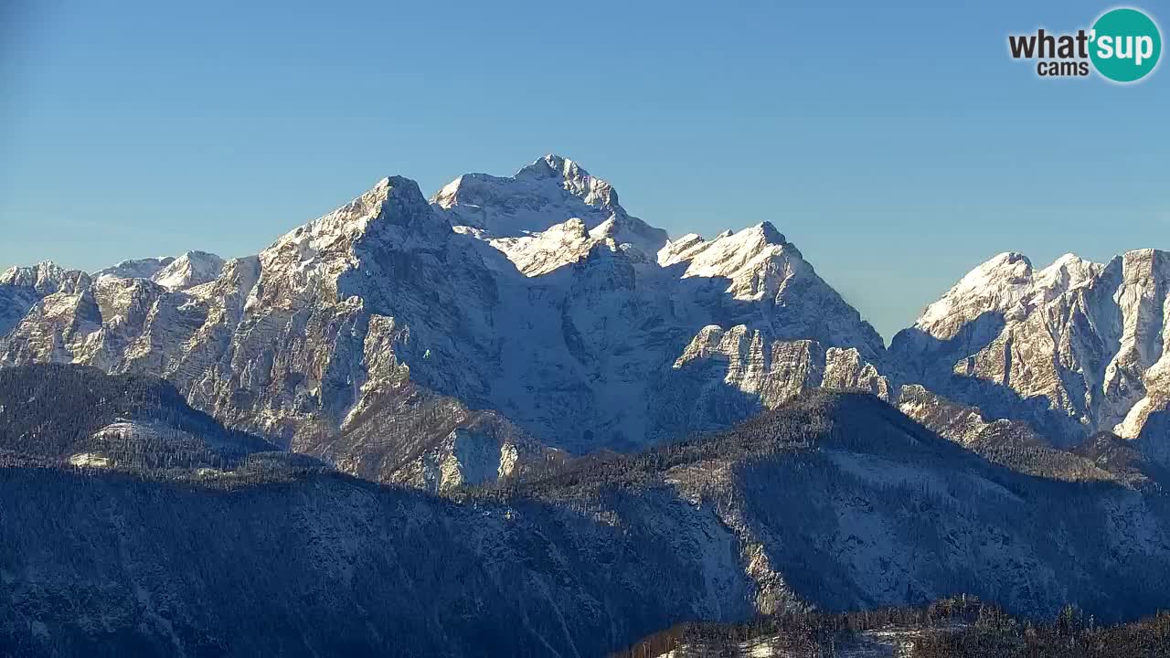 Web kamera Koča na Golici (1582 m) – Slovenija
