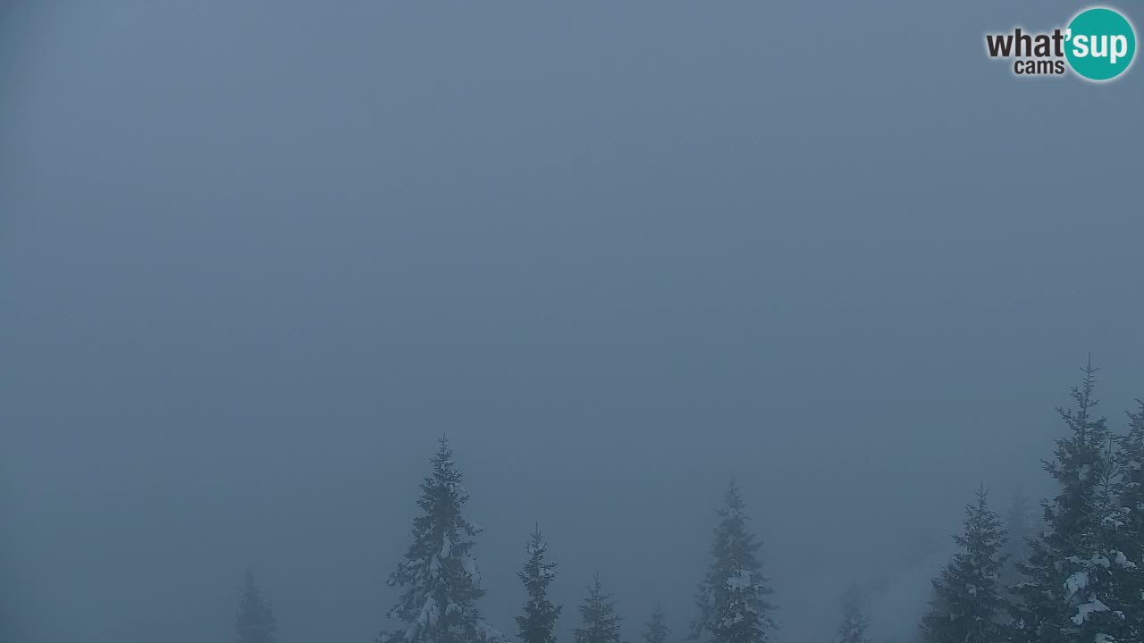 Webcam Koča na Golici (1582 m) – Slovenia