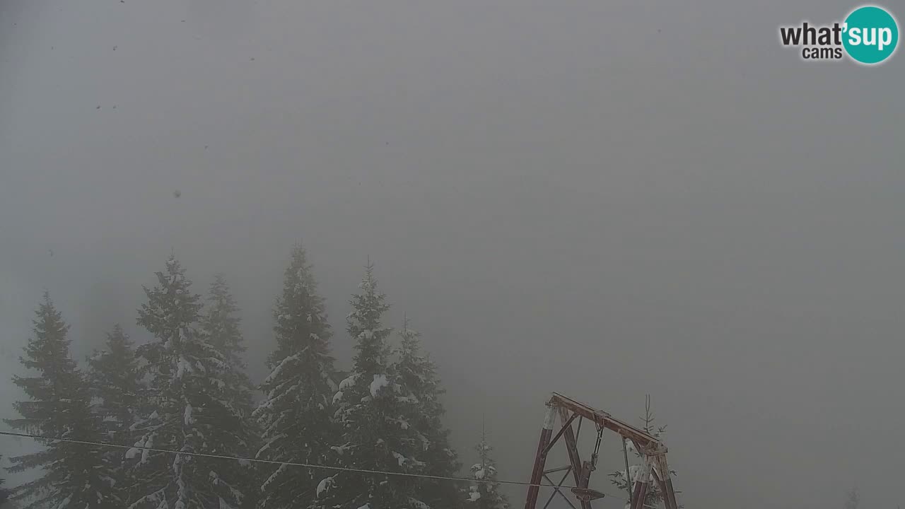 Webcam Koča na Golici (1582 m) – Slovenia