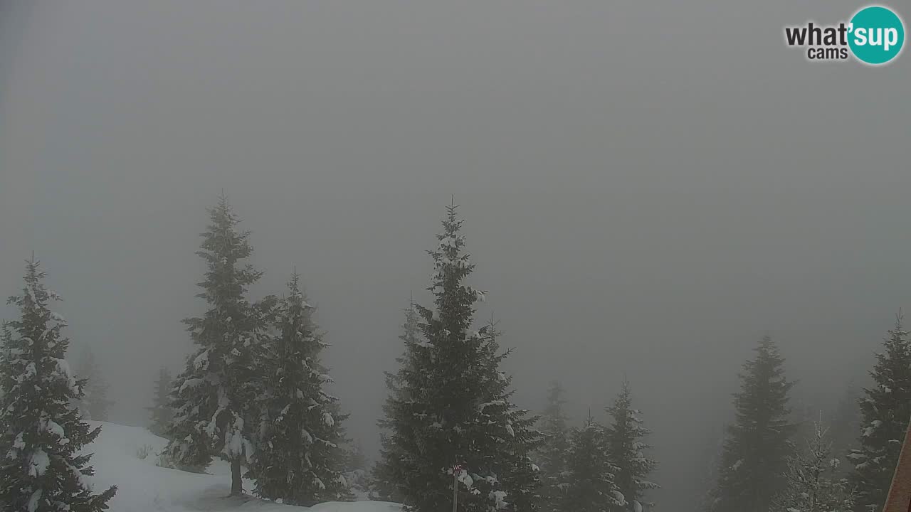 Webcam Koča na Golici (1582 m) – Slovenia