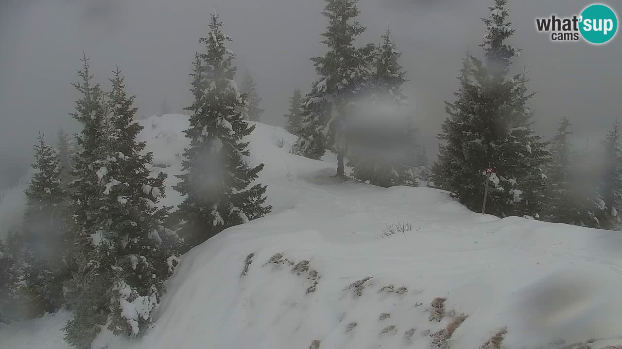 Spletna kamera Koča na Golici (1582 m) – Jesenice