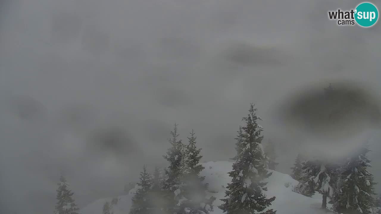 Webcam Koča na Golici (1582 m) – Slovenia