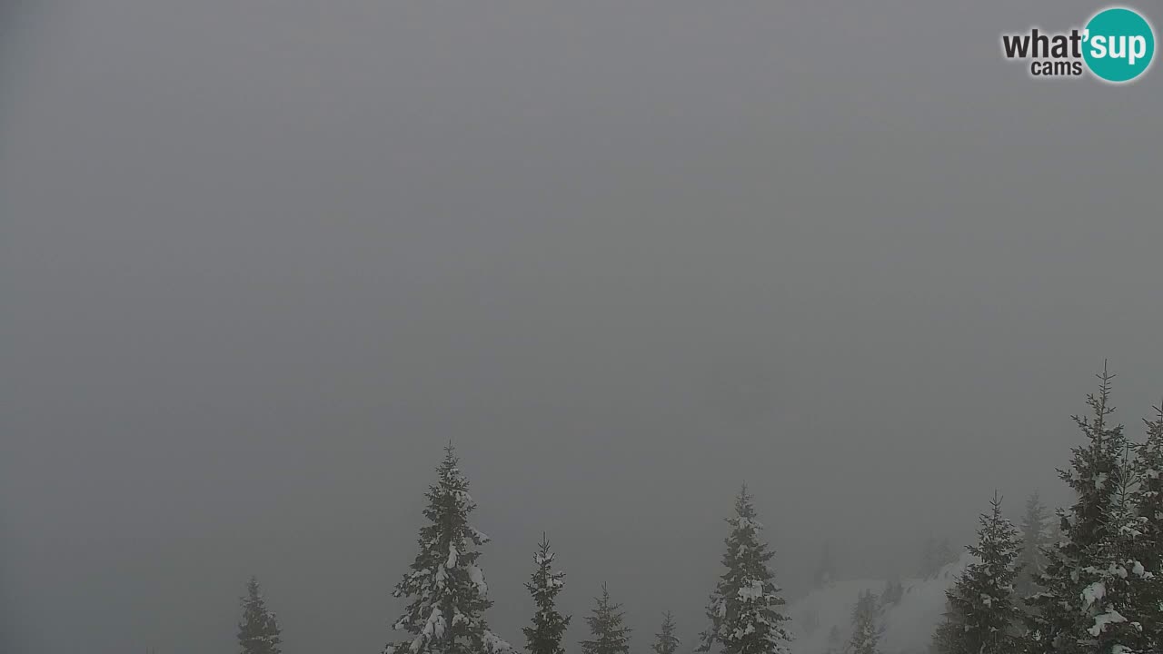 Webcam Koča na Golici (1582 m) – Slovenia