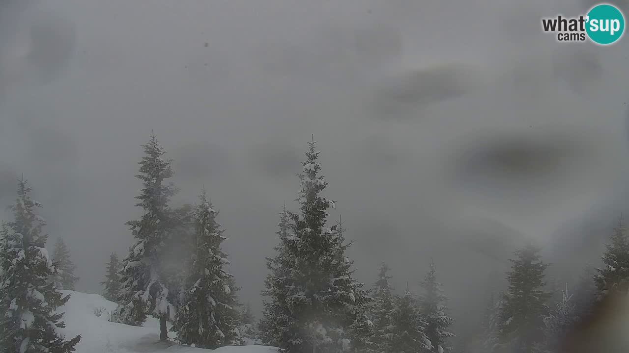 Webcam Koča na Golici (1582 m) – Slovenia