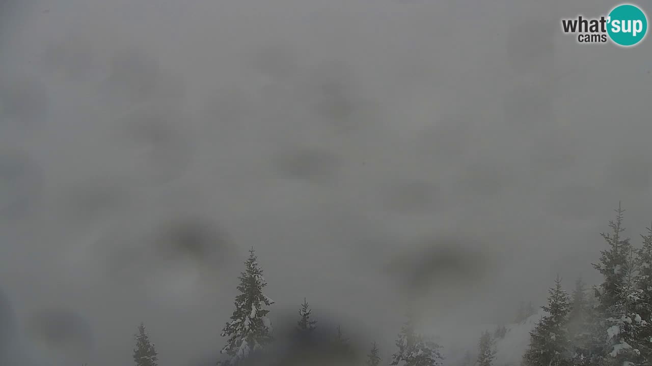 Webcam Koča na Golici (1582 m) – Slovenia