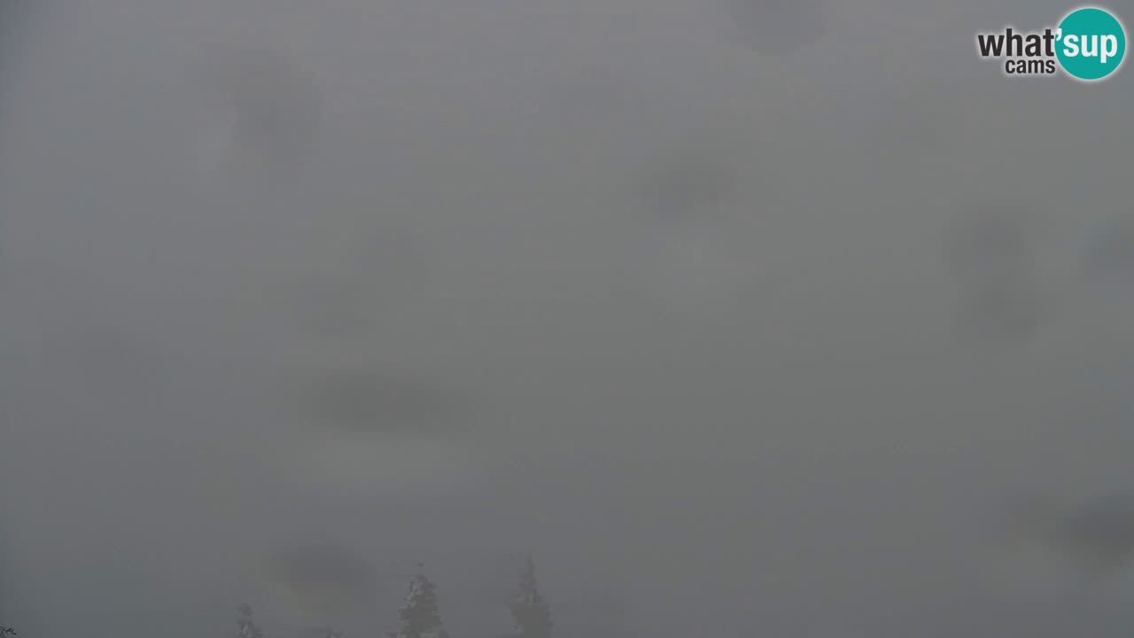 Webcam Koča na Golici (1582 m) – Slovenia