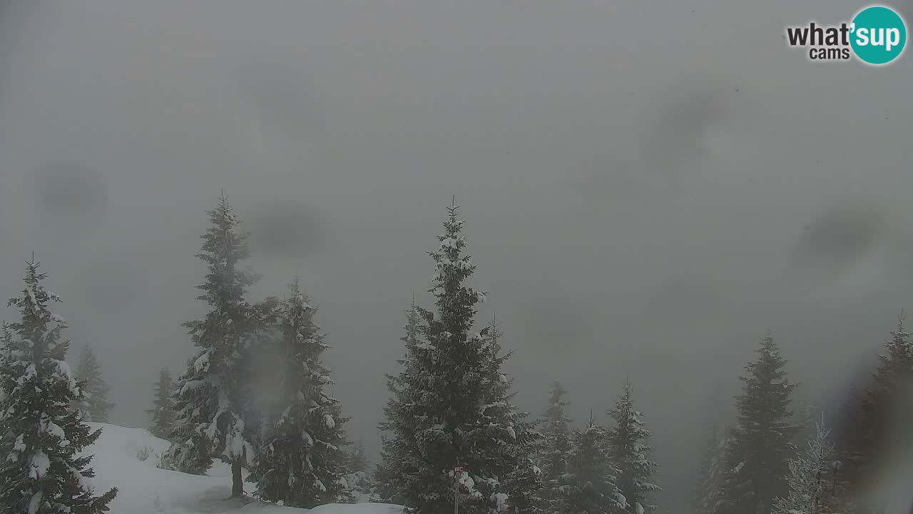 Webcam Koča na Golici (1582 m) – Slovenia