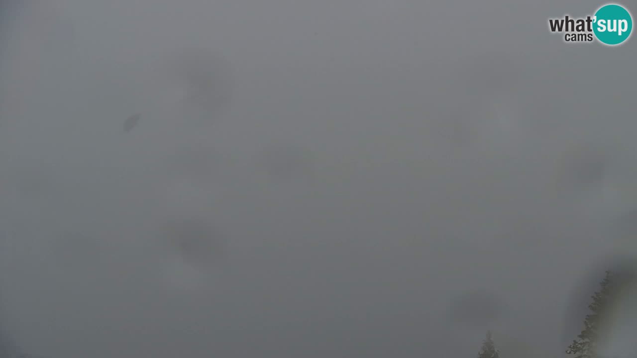 Webcam Koča na Golici (1582 m) – Slovenia