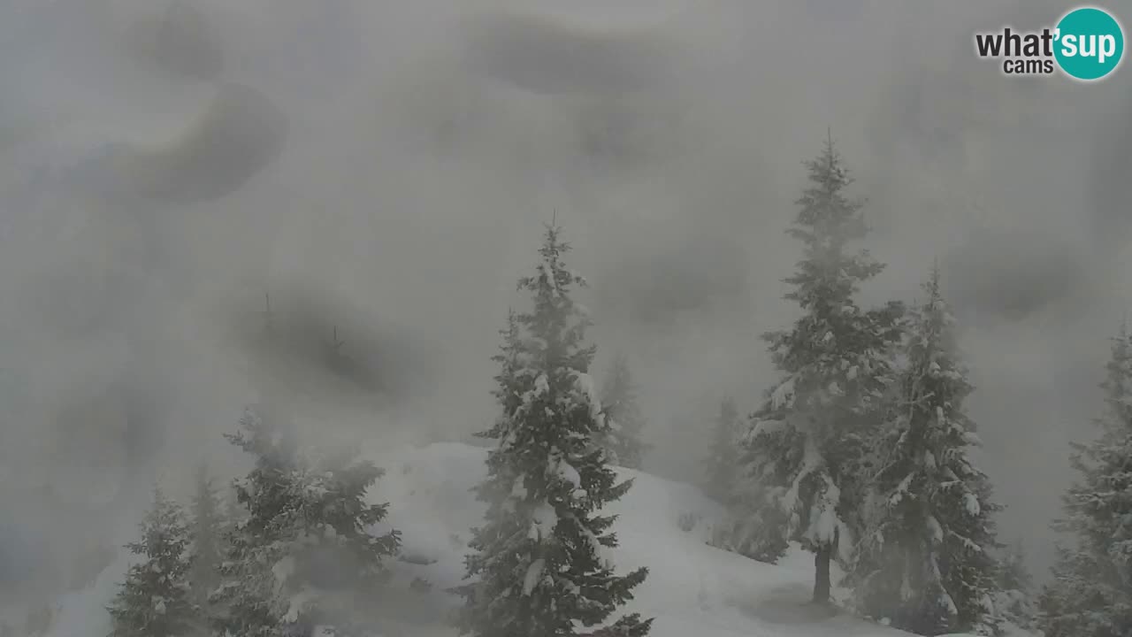 Koča na Golici Webcam (1582 m) – Slowenien