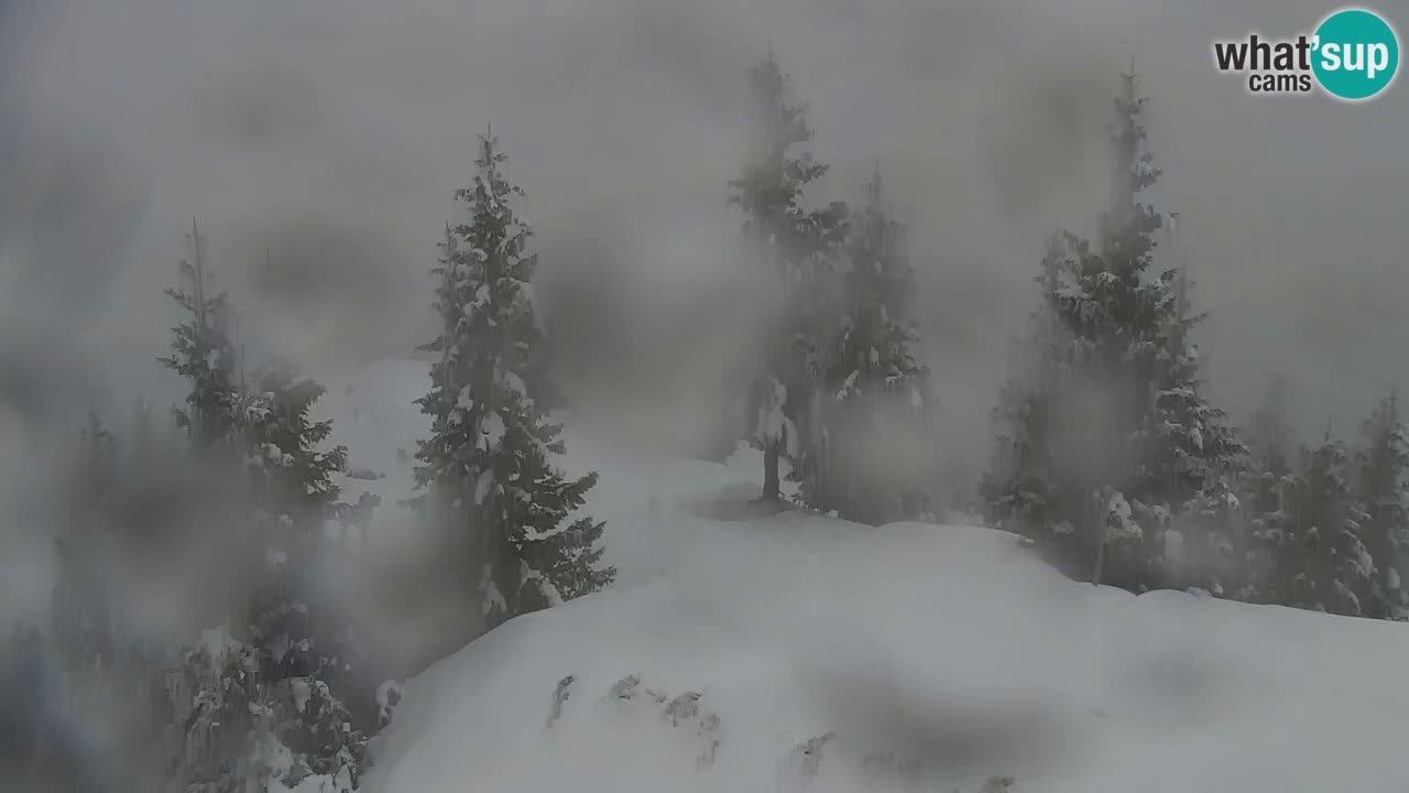Spletna kamera Koča na Golici (1582 m) – Jesenice