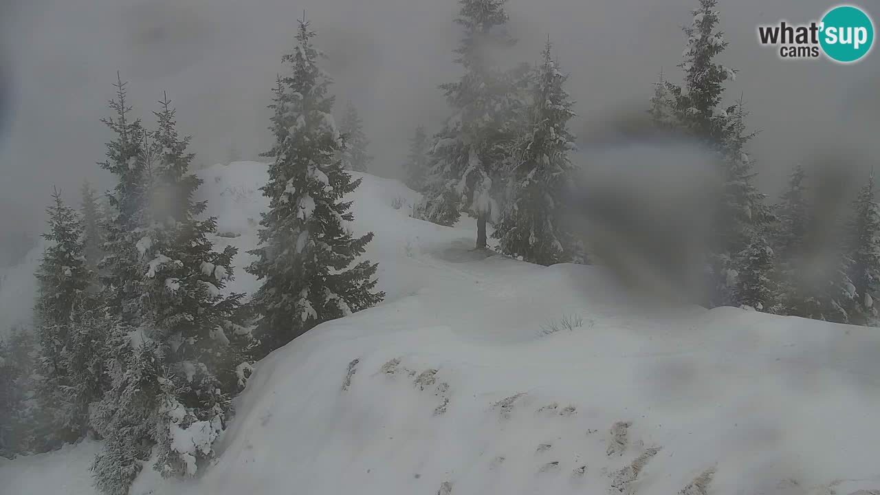 Spletna kamera Koča na Golici (1582 m) – Jesenice