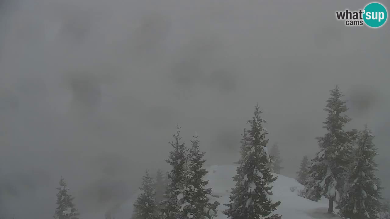 Webcam Koča na Golici (1582 m) – Slovenia