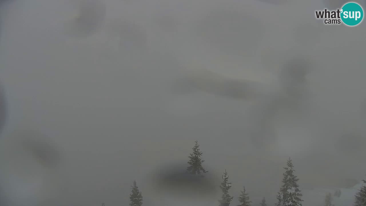 Koča na Golici Webcam (1582 m) – Slowenien