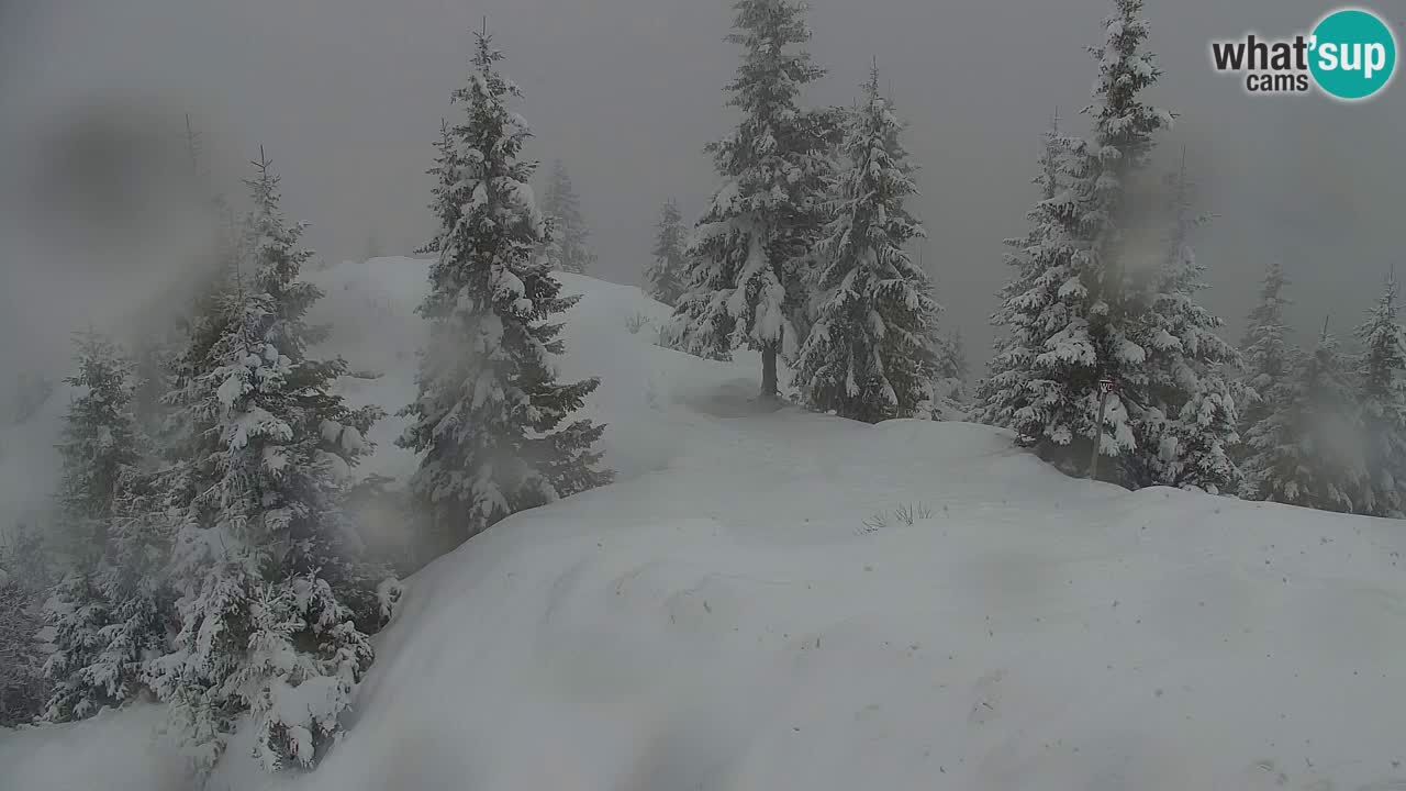 Spletna kamera Koča na Golici (1582 m) – Jesenice