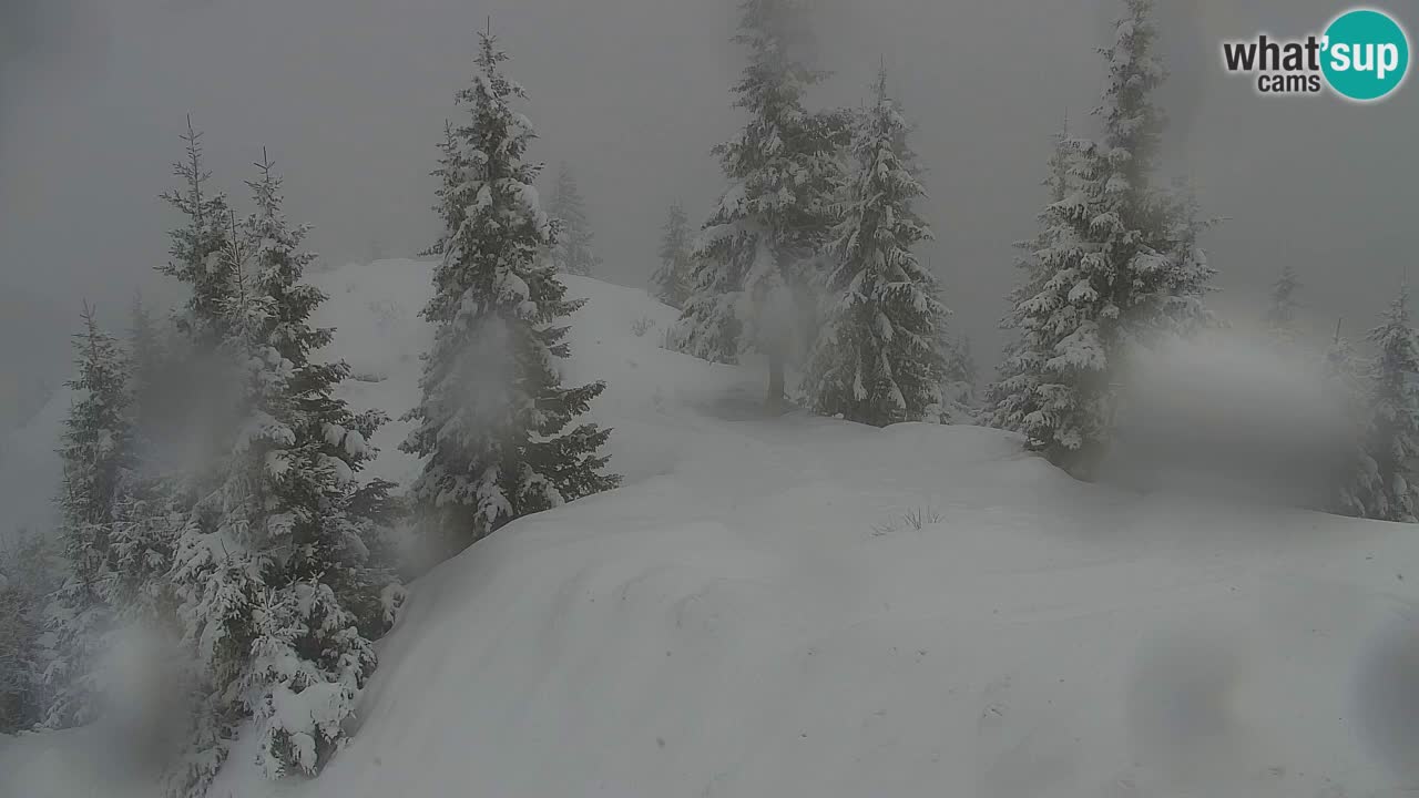 Spletna kamera Koča na Golici (1582 m) – Jesenice