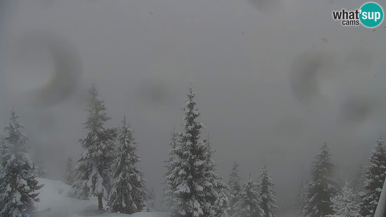 Webcam Koča na Golici (1582 m) – Slovenia