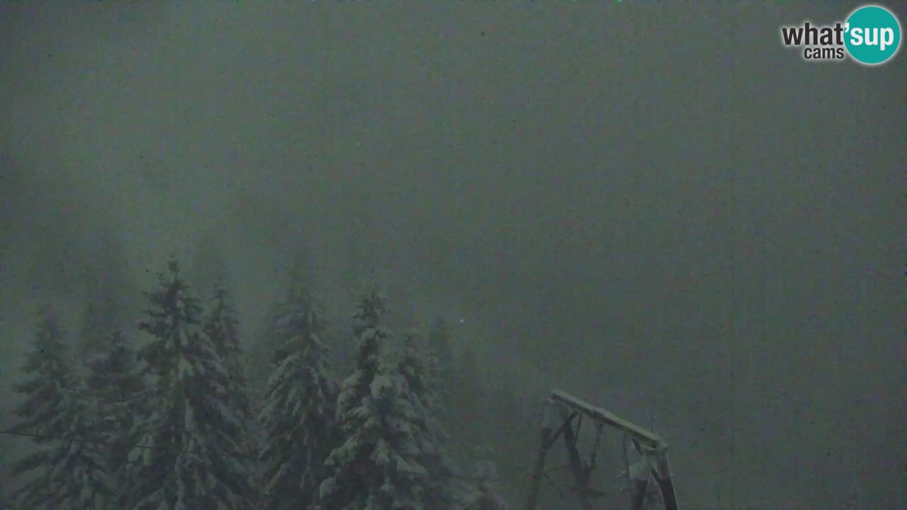 Webcam Koča na Golici (1582 m) – Slovenia