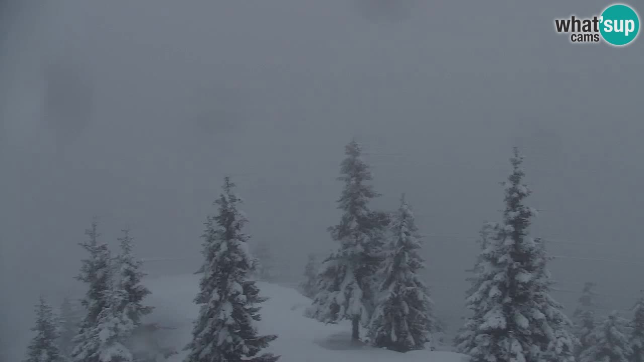 Webcam Koča na Golici (1582 m) – Slovenia