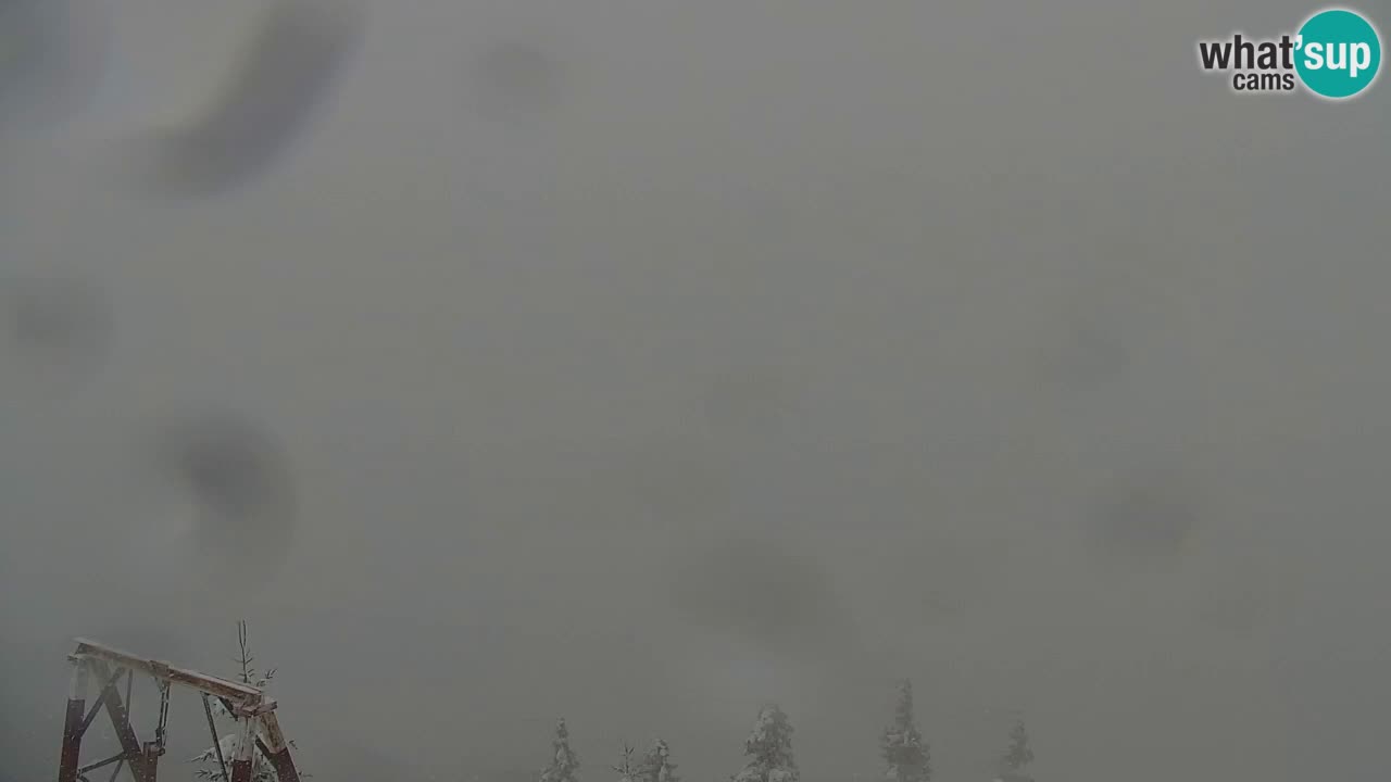 Webcam Koča na Golici (1582 m) – Slovenia