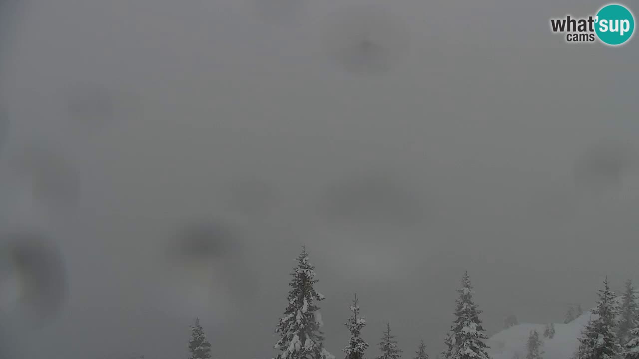 Webcam Koča na Golici (1582 m) – Slovenia