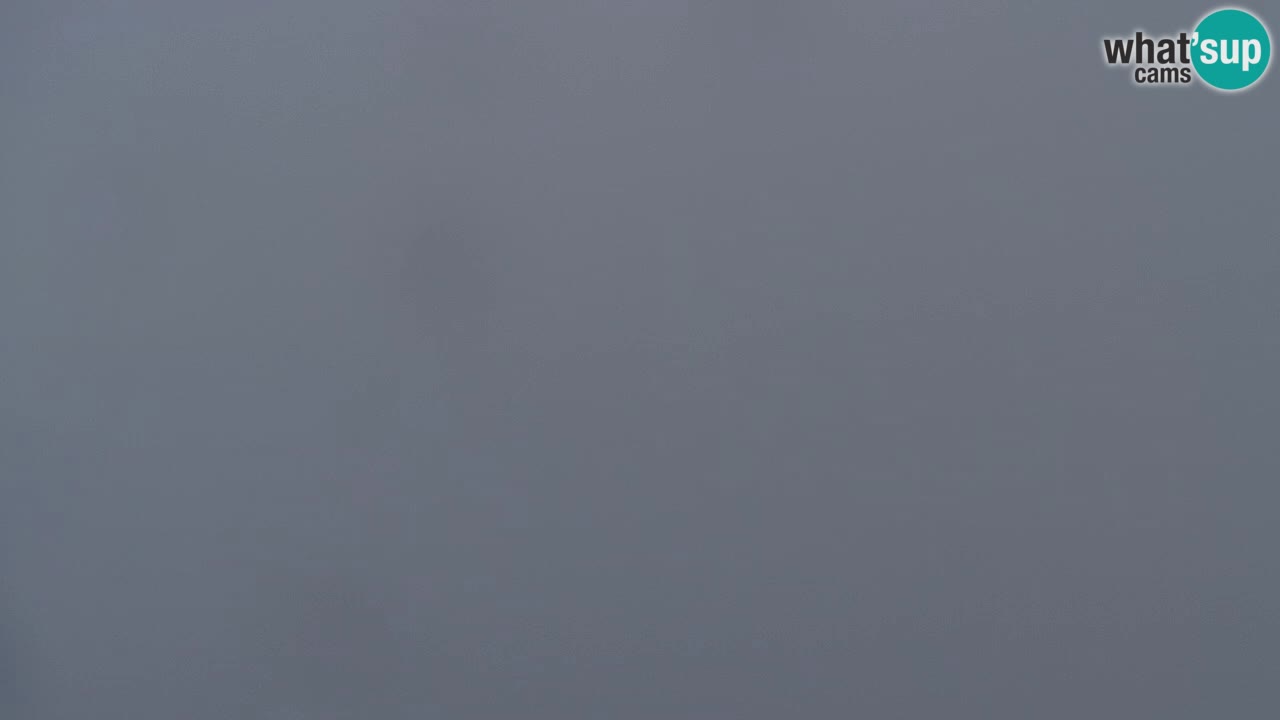 Webcam Koča na Golici (1582 m) – Slovenia