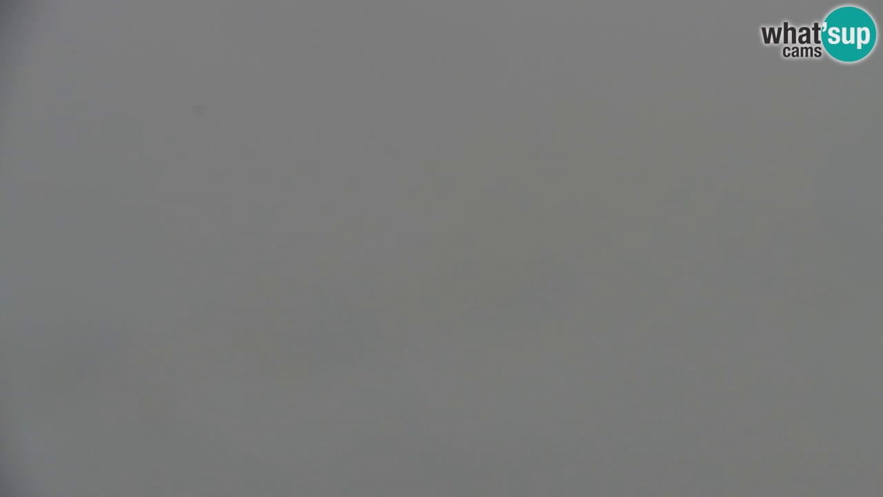 Webcam Koča na Golici (1582 m) – Slovenia