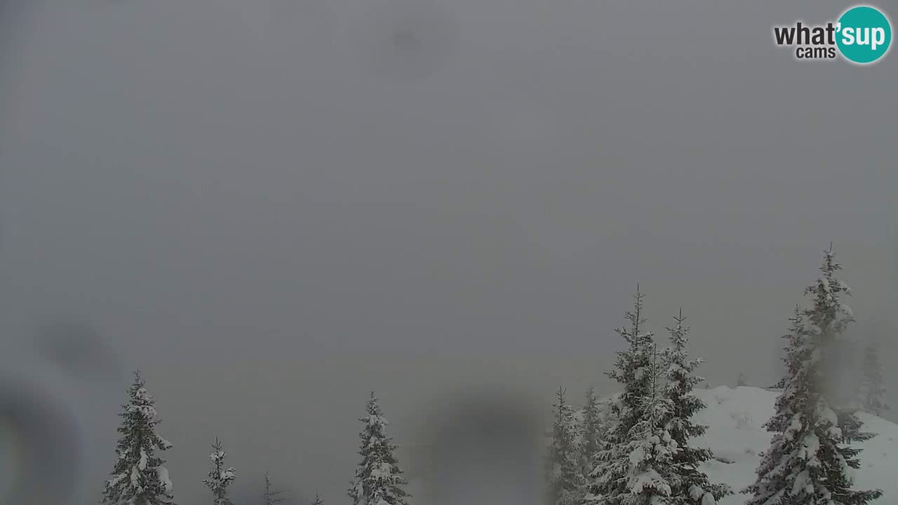 Webcam Koča na Golici (1582 m) – Slovenia