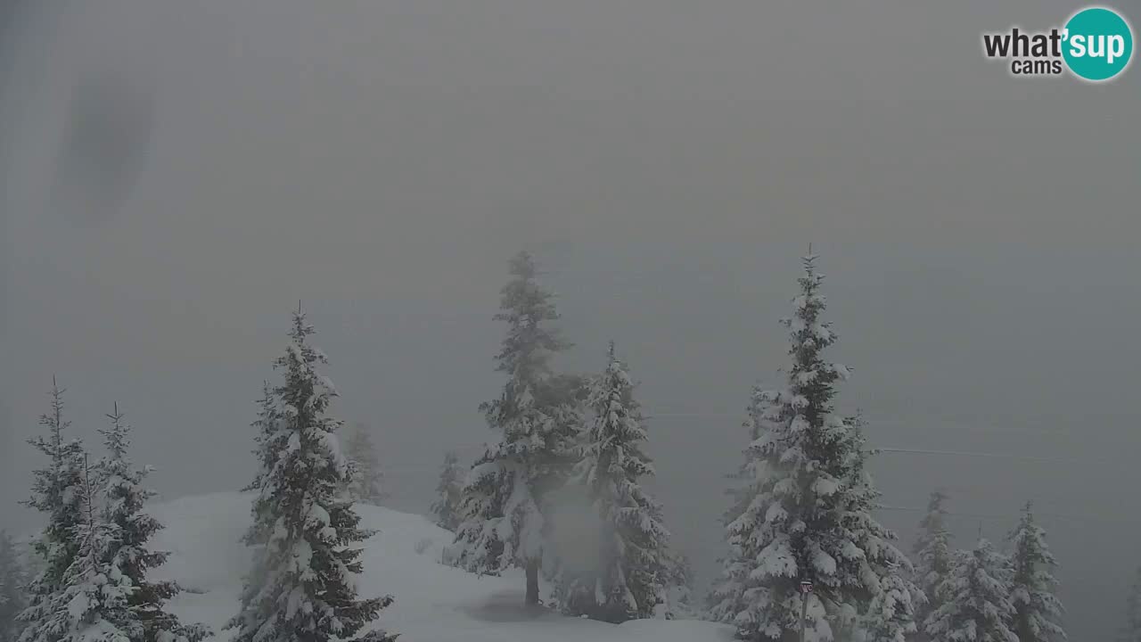 Koča na Golici Webcam (1582 m) – Slowenien