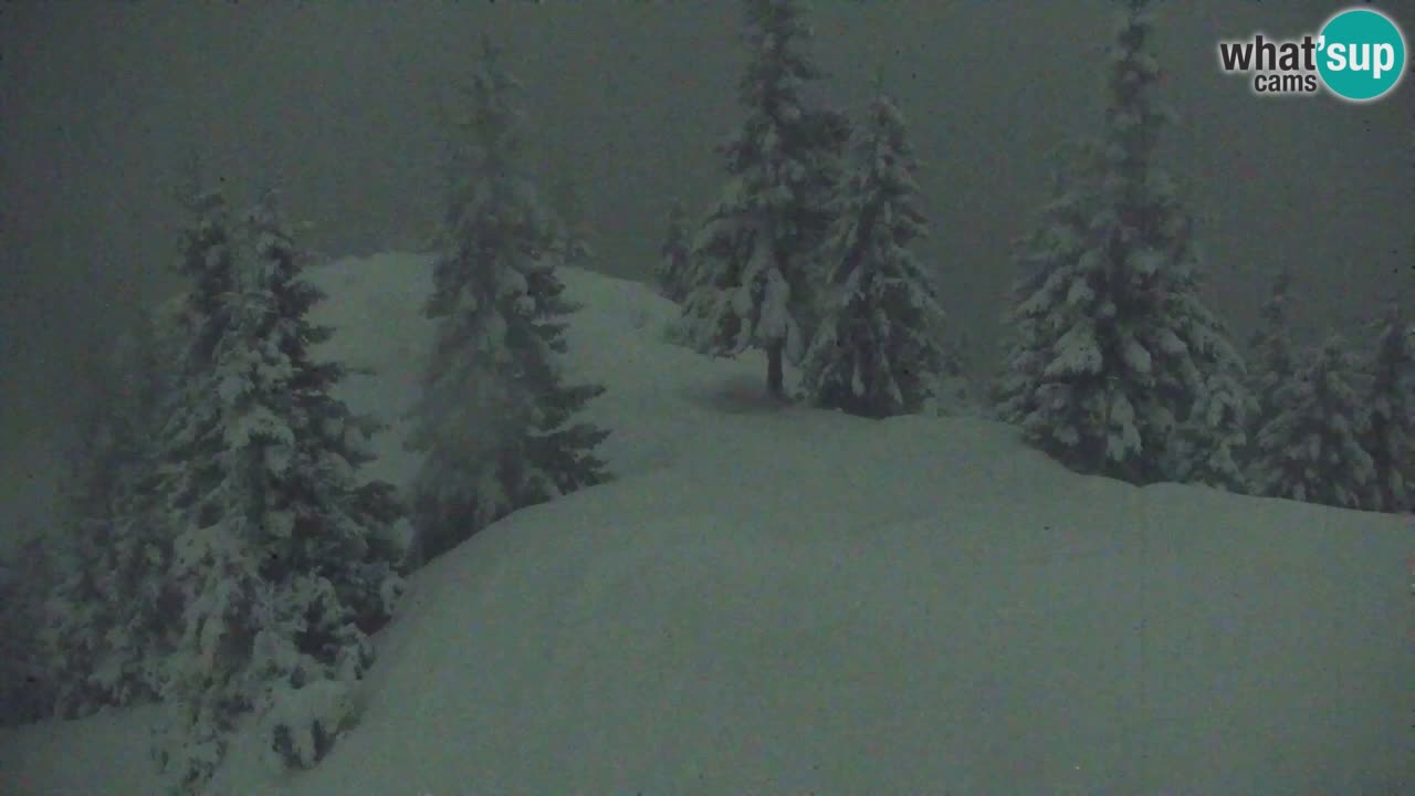 Spletna kamera Koča na Golici (1582 m) – Jesenice