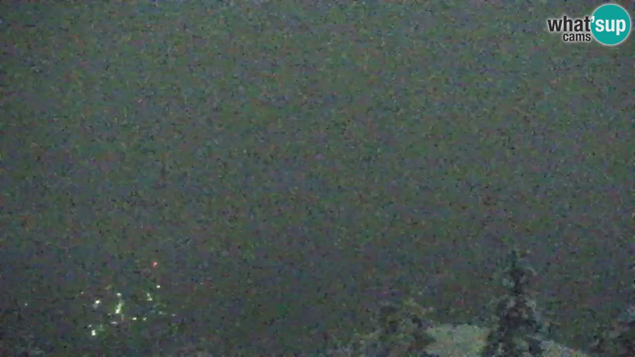 Webcam Koča na Golici (1582 m) – Slovenia