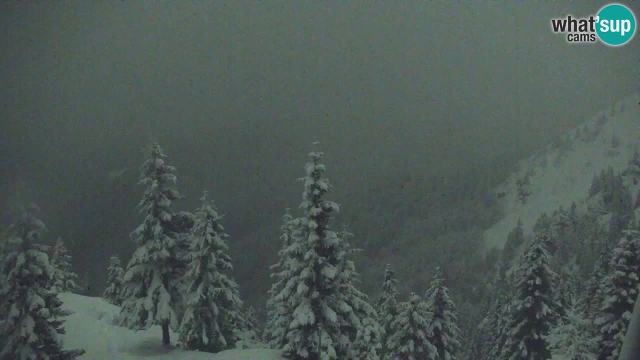 Web kamera Koča na Golici (1582 m) – Slovenija