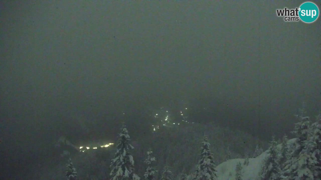 Webcam Koča na Golici (1582 m) – Slovenia