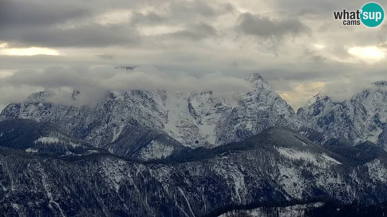 Webcam Chalet sur Golica (1582 m) – Slovénie