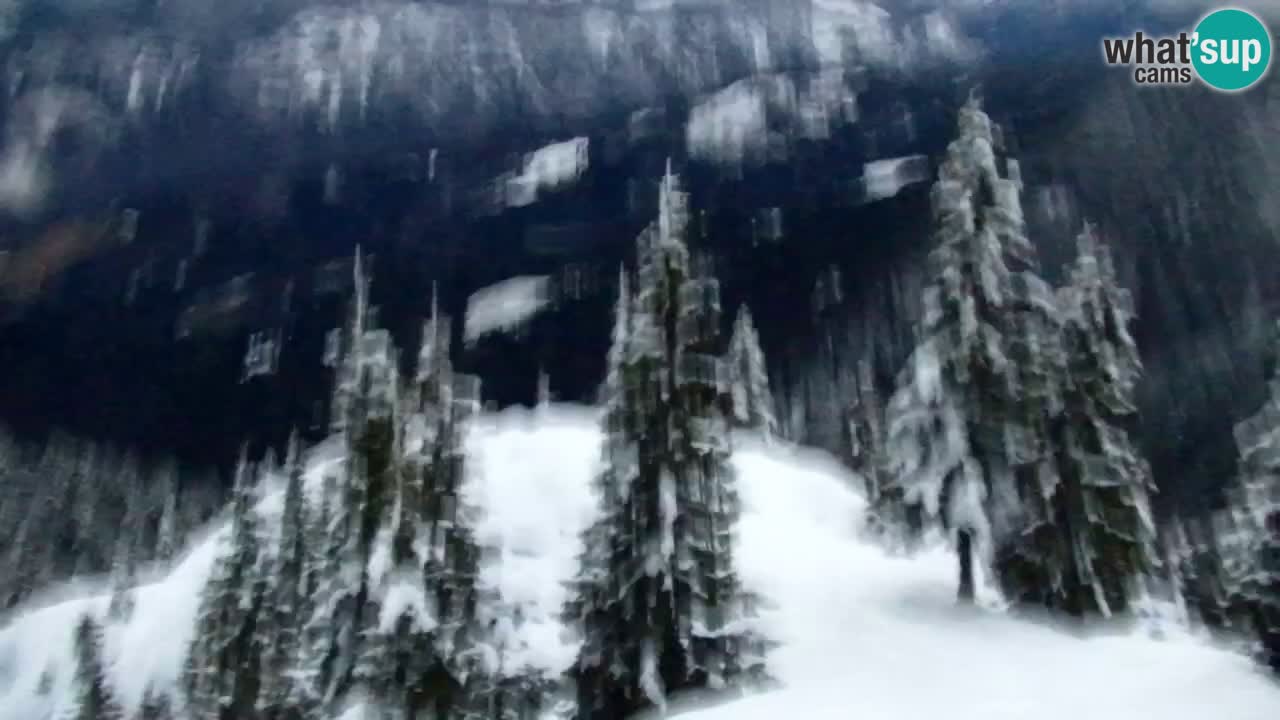 Webcam Chalet sur Golica (1582 m) – Slovénie