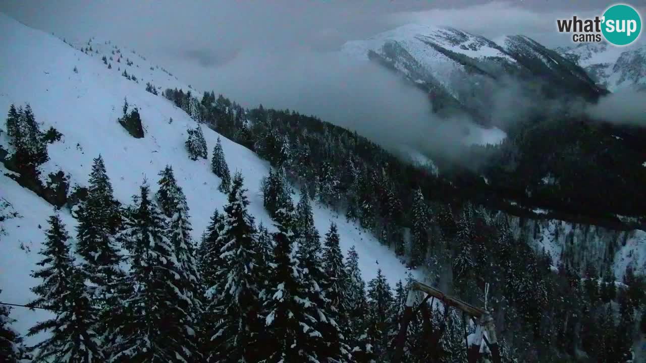 Webcam Chalet sur Golica (1582 m) – Slovénie