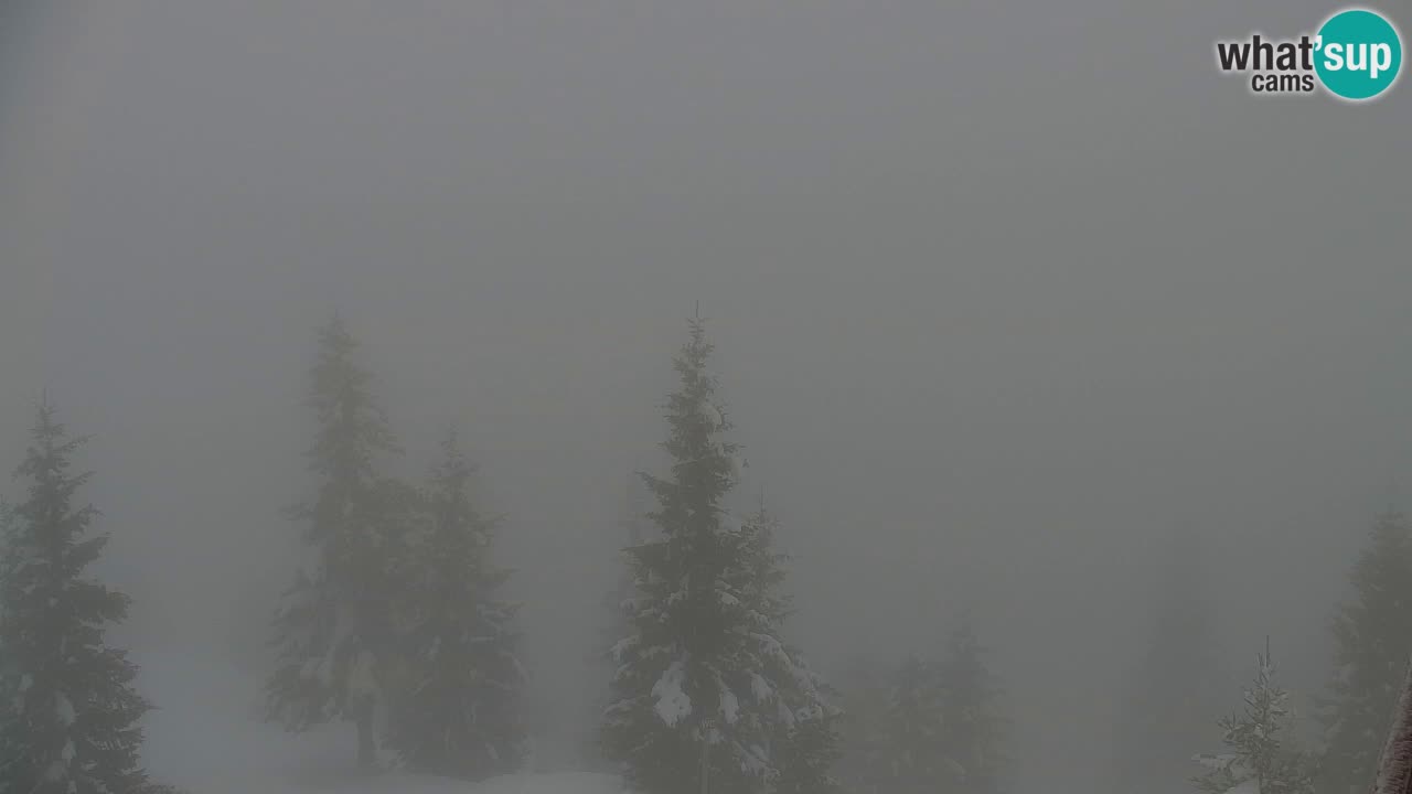 Webcam en Golica (1582 m) – Eslovenia