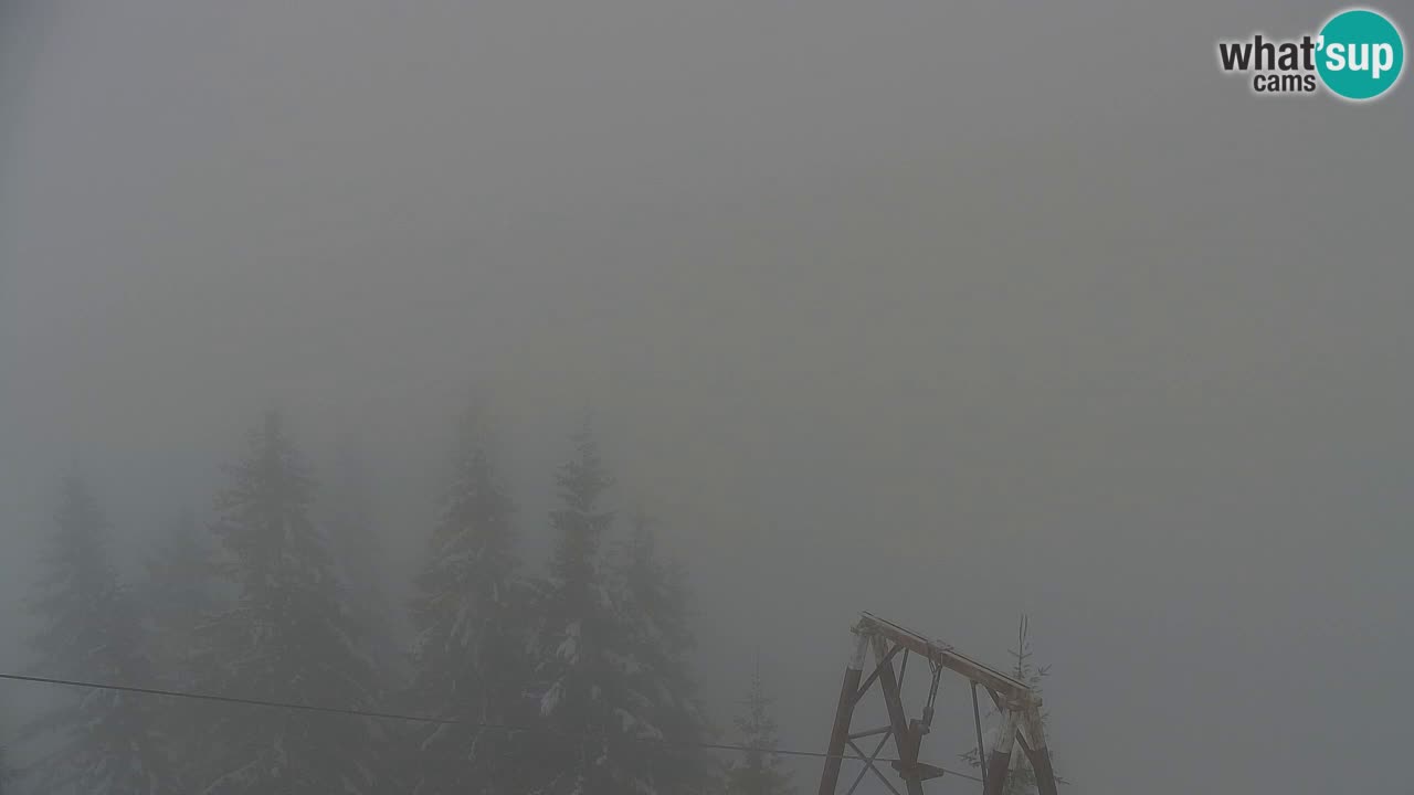 Webcam Koča na Golici (1582 m) – Slovenia