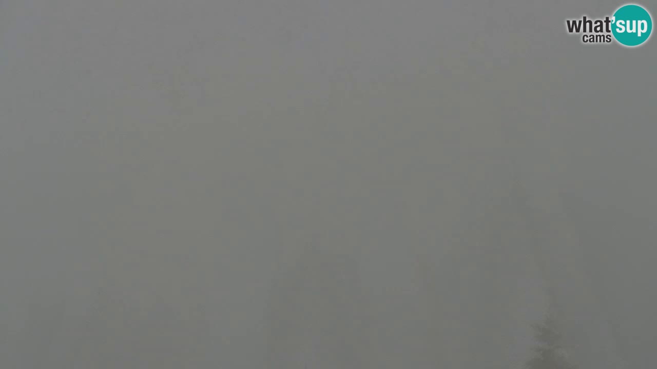 Koča na Golici Webcam (1582 m) – Slowenien