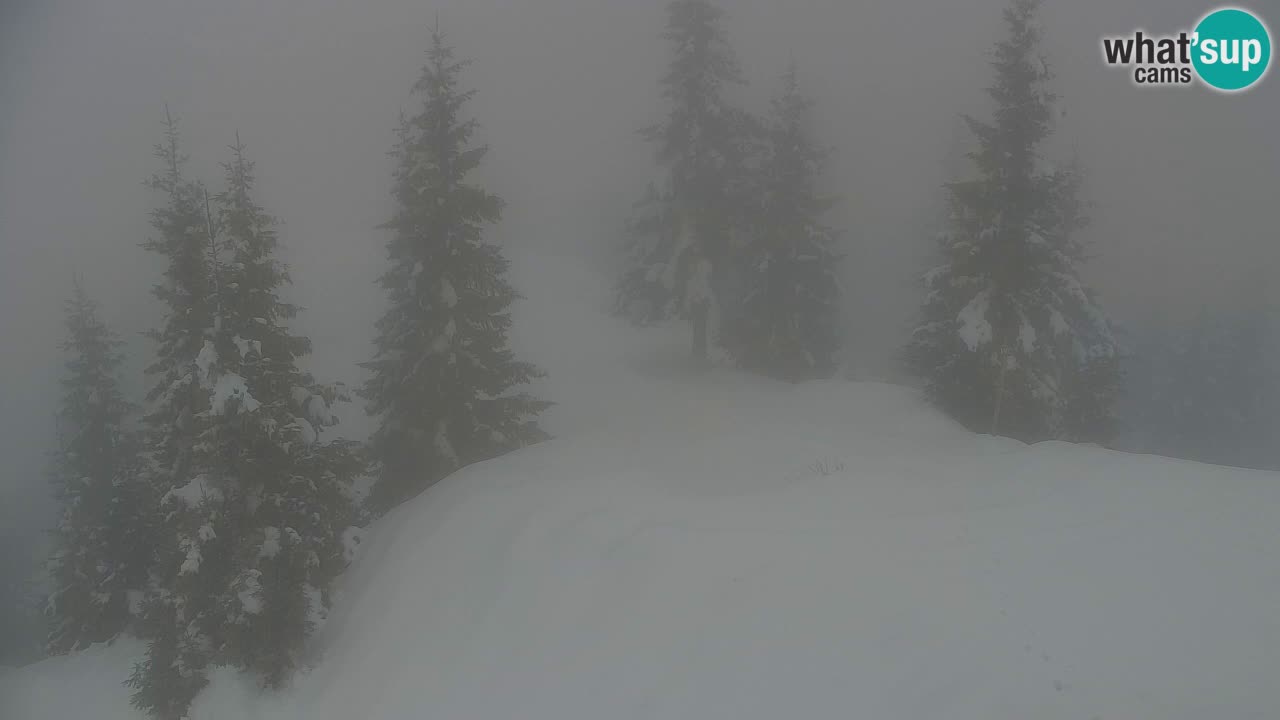 Koča na Golici Webcam (1582 m) – Slowenien