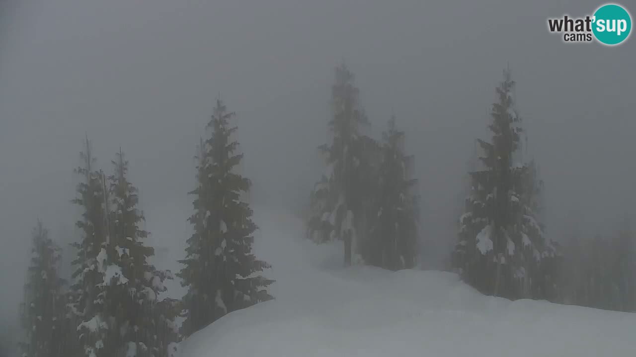 Webcam en Golica (1582 m) – Eslovenia