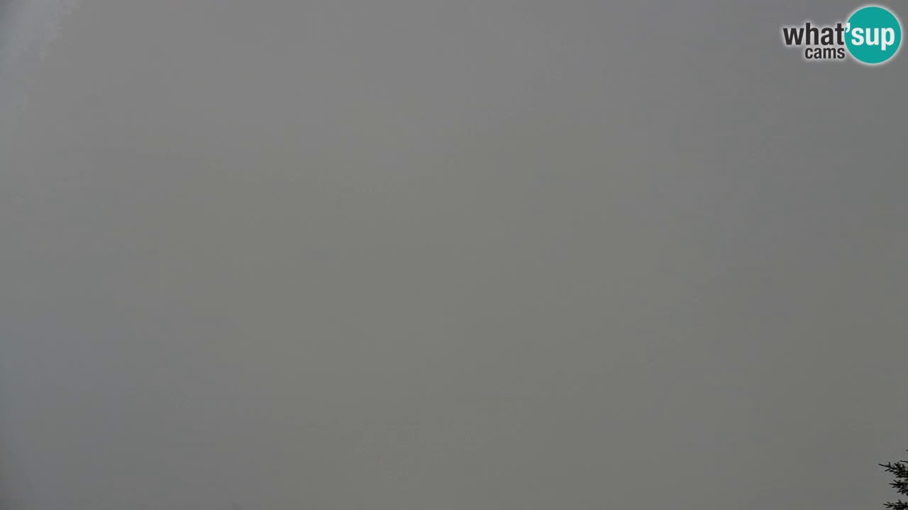 Webcam Koča na Golici (1582 m) – Slovenia