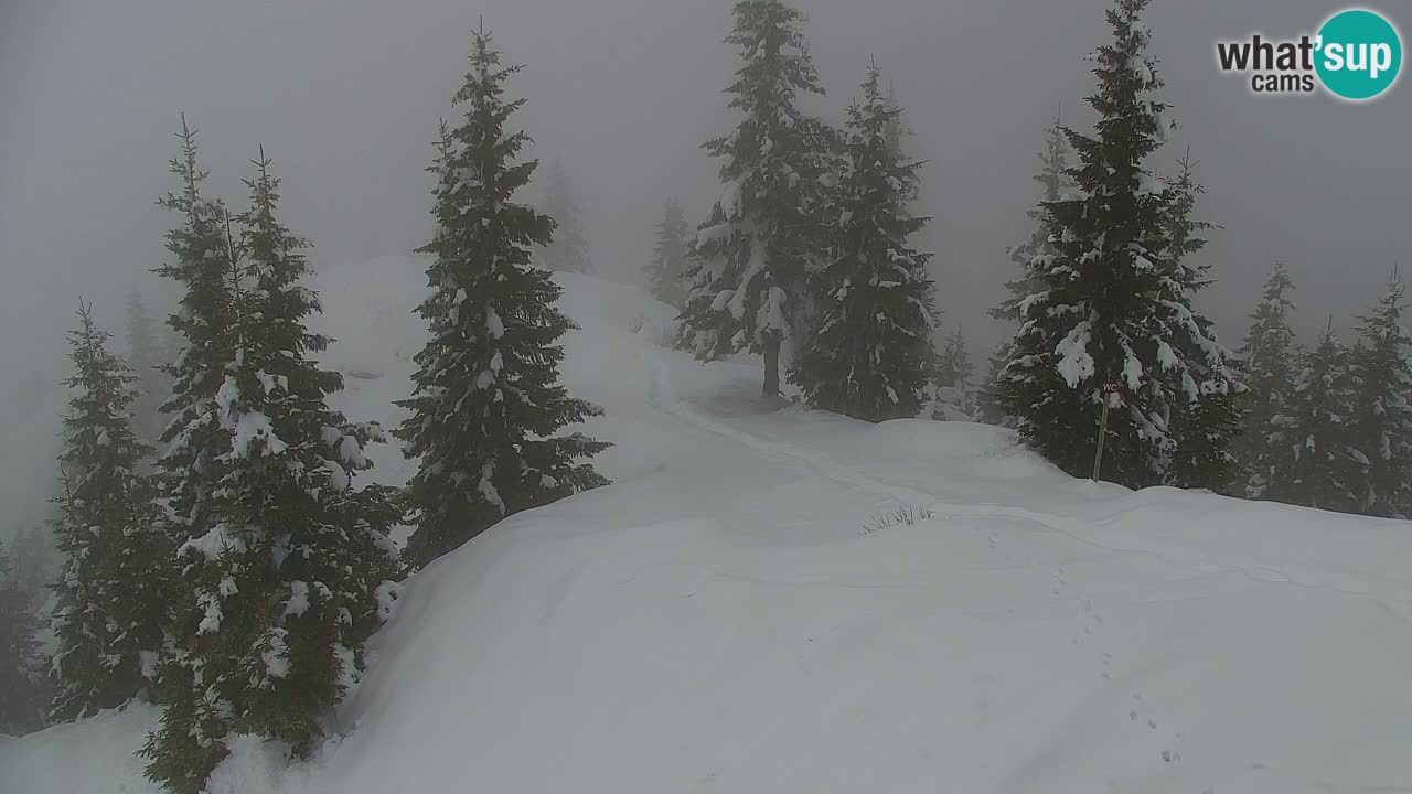 Webcam en Golica (1582 m) – Eslovenia
