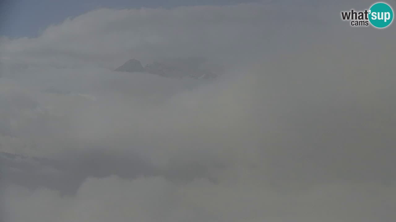 Webcam na Golici – Baita di montagna (1582 m) – Slovenia