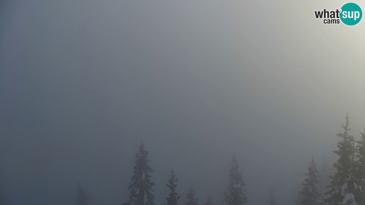 Webcam Koča na Golici (1582 m) – Slovenia