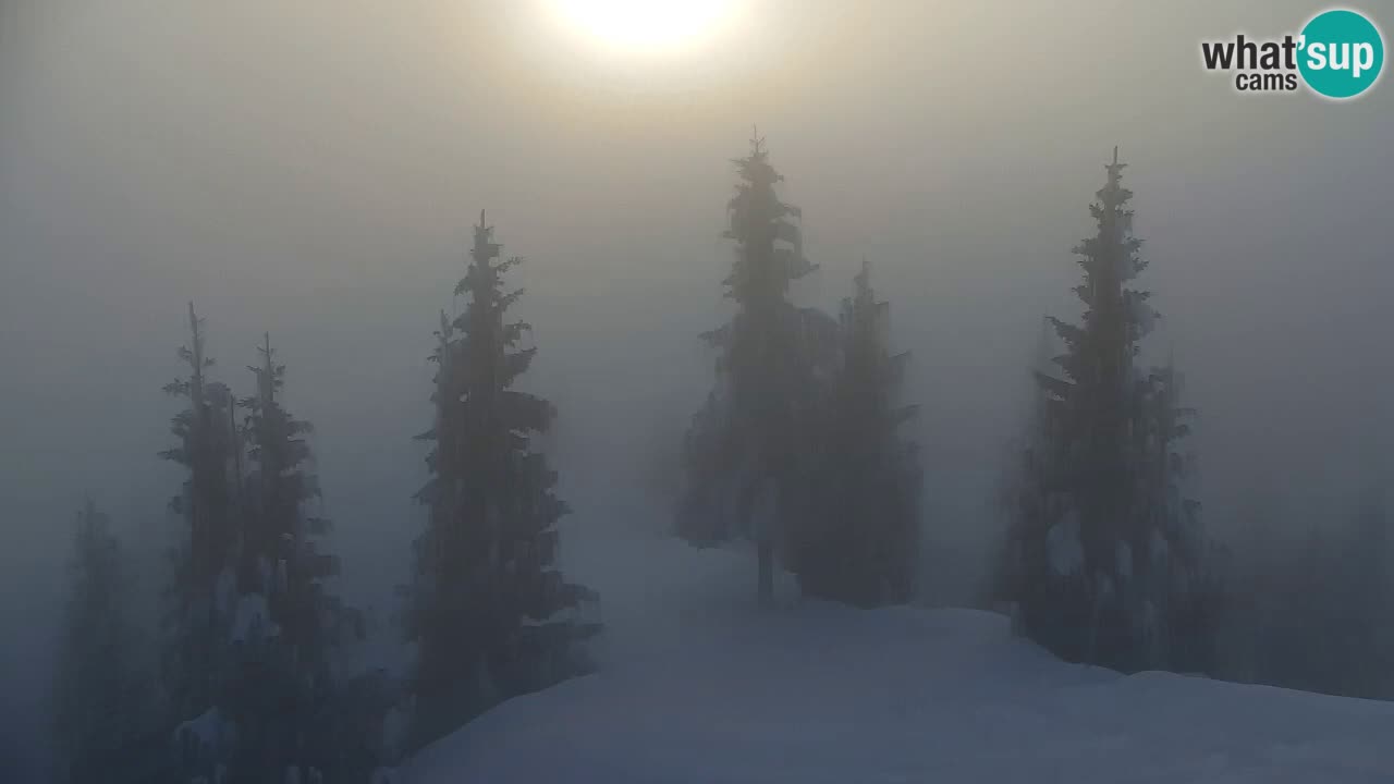 Webcam na Golici – Baita di montagna (1582 m) – Slovenia
